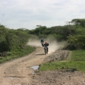 Baringo   Husabegs on trail